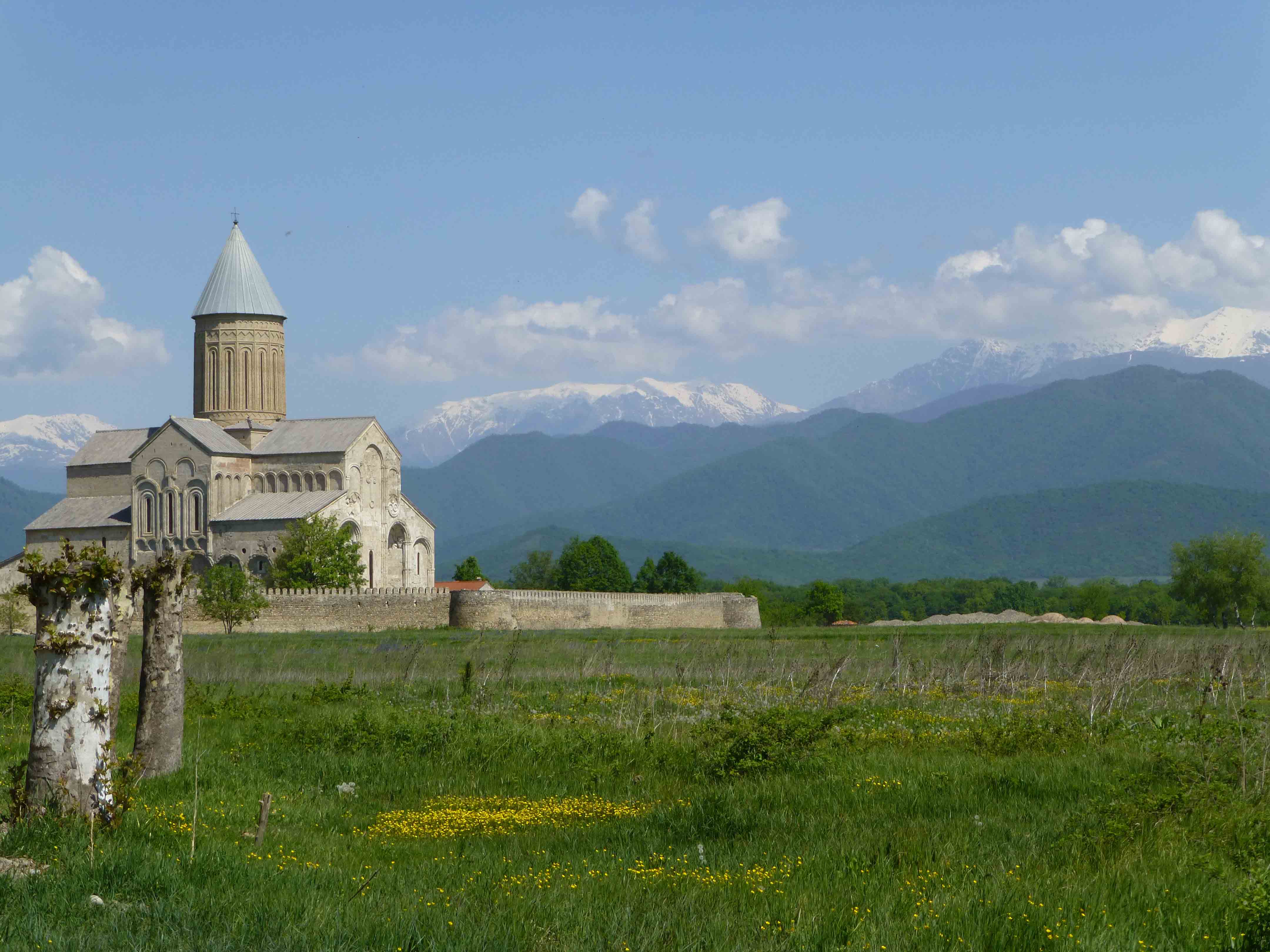 telavi 1.jpg